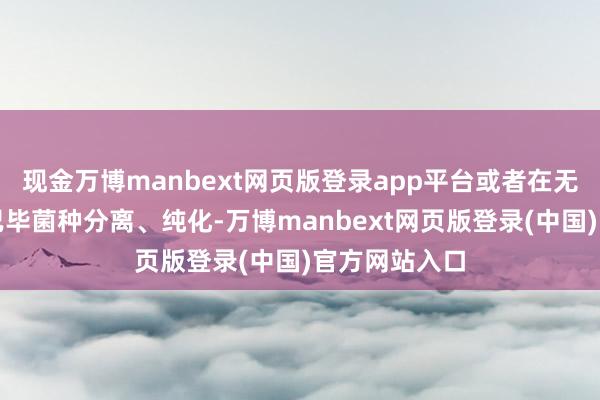 现金万博manbext网页版登录app平台或者在无菌的条目下已毕菌种分离、纯化-万博manbext网页版登录(中国)官方网站入口