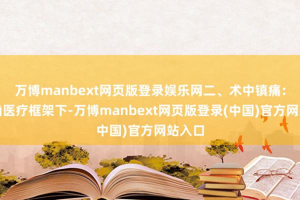 万博manbext网页版登录娱乐网二、术中镇痛：在精确医疗框架下-万博manbext网页版登录(中国)官方网站入口